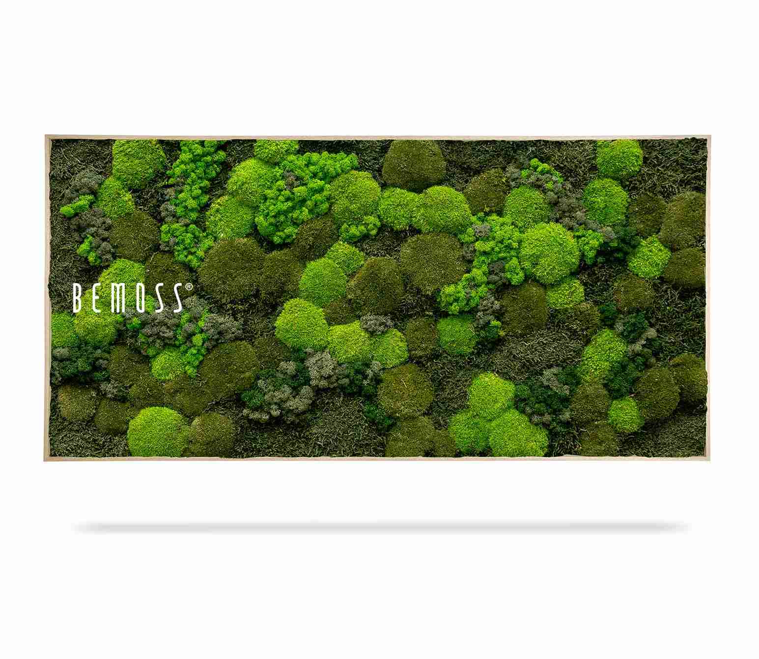 Cuadro de musgo BEMOSS® ORTHO DOVEN - Imagen 2