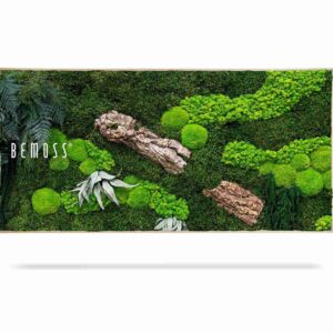 Cuadro de musgo PLANTAS Alona - Thumbnail Image 4
