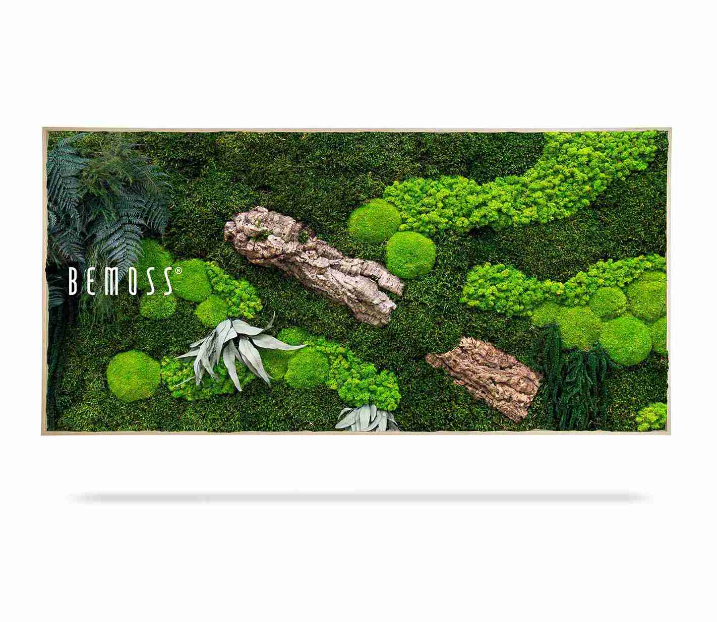 Cuadro de musgo PLANTAS Alona - Imagen 4