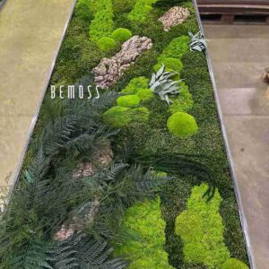 Cuadro de musgo PLANTAS Alona - Thumbnail Image 2