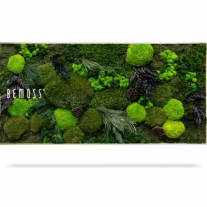 Cuadro de musgo PLANTAS Amar - Thumbnail Image 2