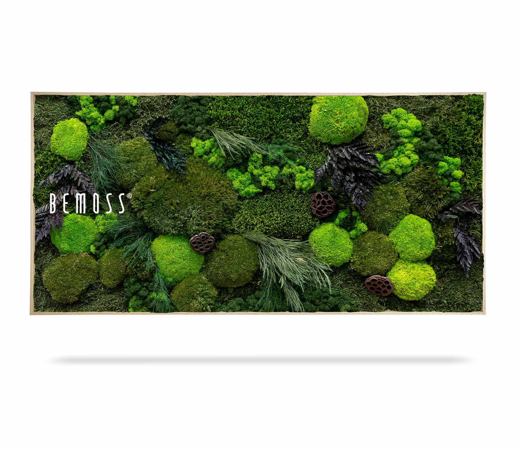 Cuadro de musgo PLANTAS Amar - Imagen 2