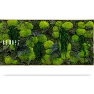 Cuadro de musgo PLANTAS Varex - Thumbnail Image 2