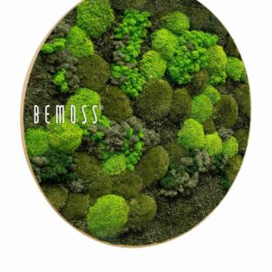 Cuadro de musgo redondo BEMOSS® ORTHO DOVEN - Thumbnail Image 2