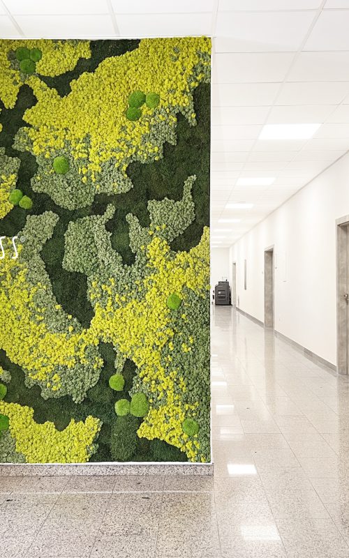 chodba s veľkou zelenou stenou a bielymi dverami s čierno-žltým dizajnom a bielymi dverami s čiernobielymi dverami, environmentálne umenie , machovy obraz, stabilizovany mach, machová stena, machová dekorácia