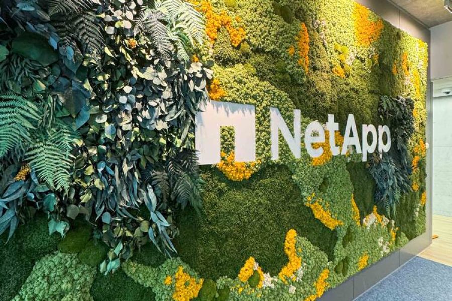 Machová stena s rastlinami pre Net App Switzerland
