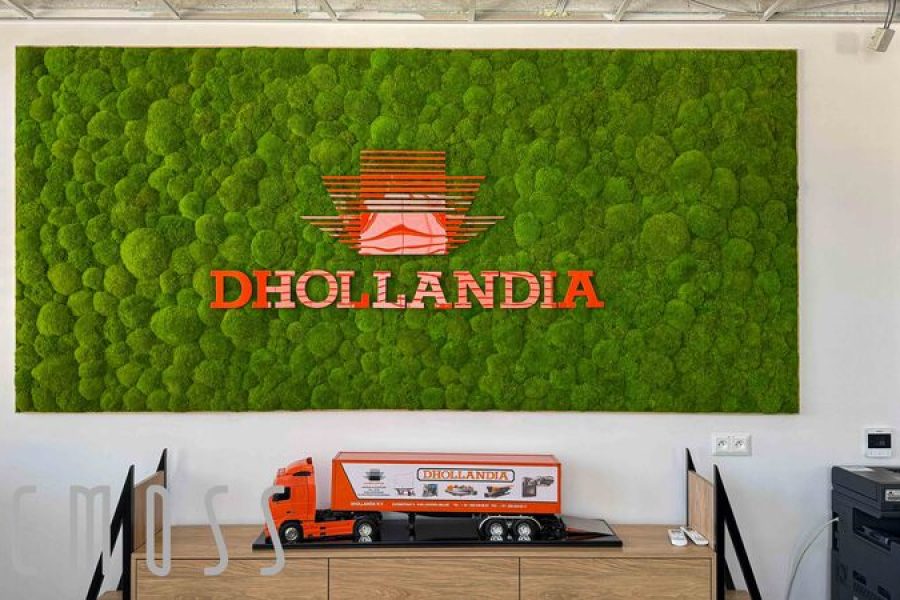 dhollandia-office-JPG