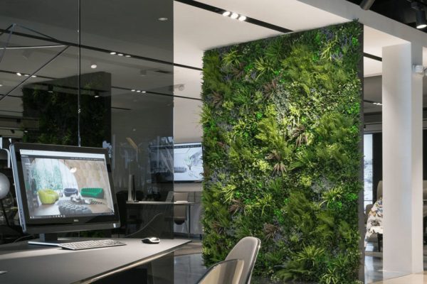 image6.jpg