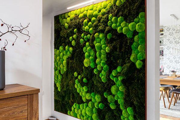 moss-walls-7.jpg