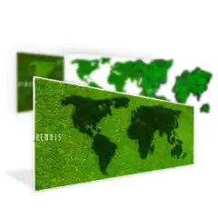 Mapas del mundo (de musgo)