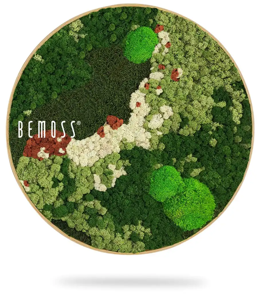 obrázok zelenej rastliny s nápisom bemos bielym písmom na zelenom pozadí, environmentálne umenie , machovy obraz, stabilizovany mach, machová stena, machová dekorácia
