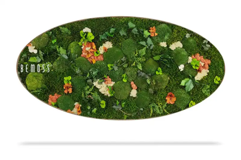 Cuadro de musgo Elipse PLANTAS Mesia Mango