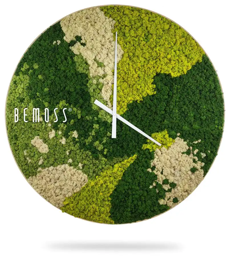 hodiny, na ktorých rastie mach s nápisom bemoss na ciferníku a bielym pozadím, environmentálne umenie , machovy obraz, stabilizovany mach, machová stena, machová dekorácia