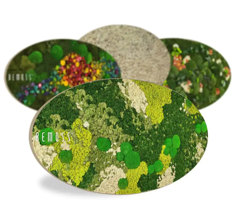 Artes de pared de musgo ovalados