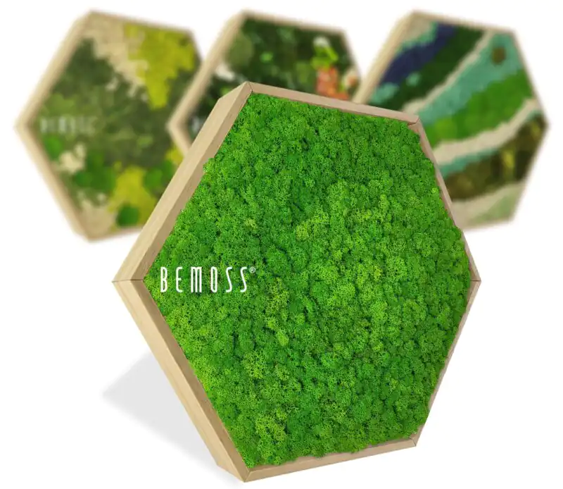 Artes de pared de musgo hexagonales