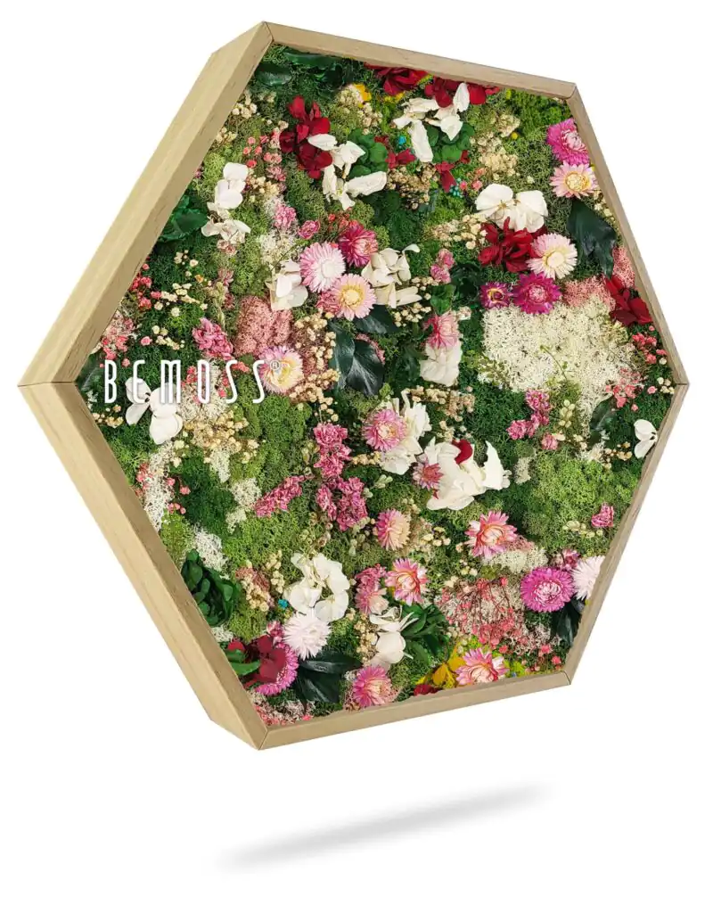 Cuadro de musgo Hexágono PLANTAS Huelma