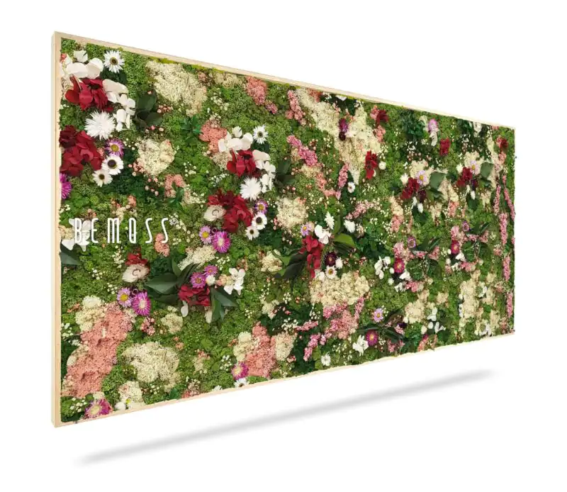 Cuadro de musgo PLANTAS Huelma