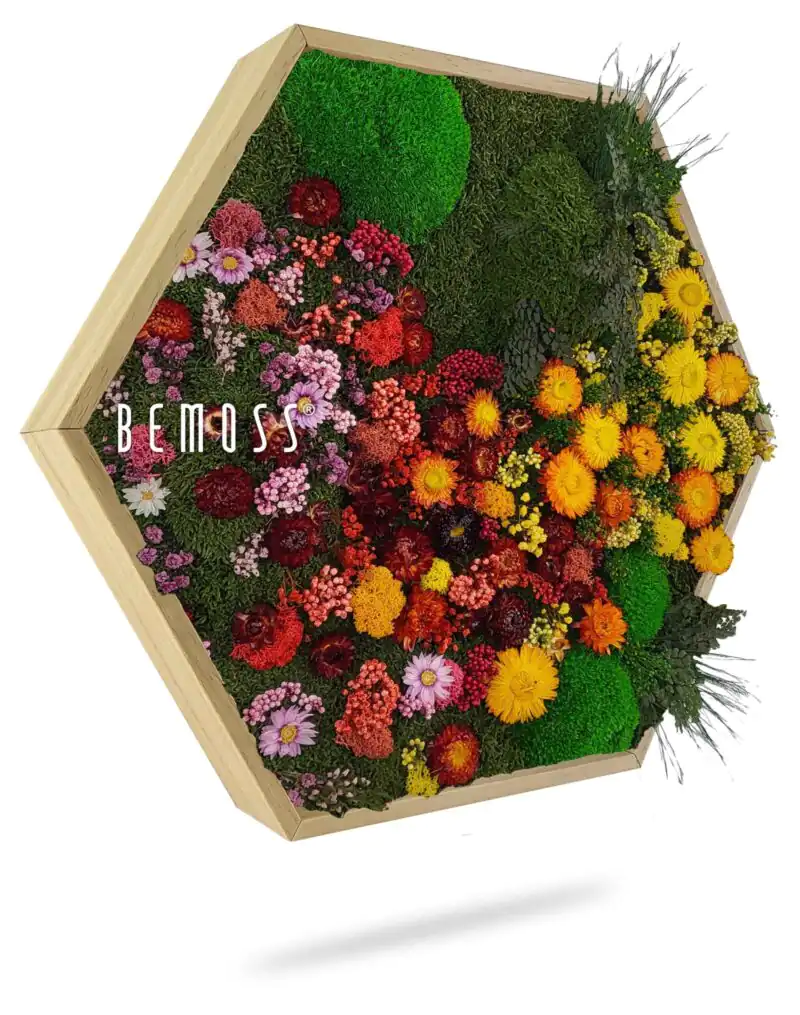 Cuadro de musgo Hexágono PLANTAS Parra