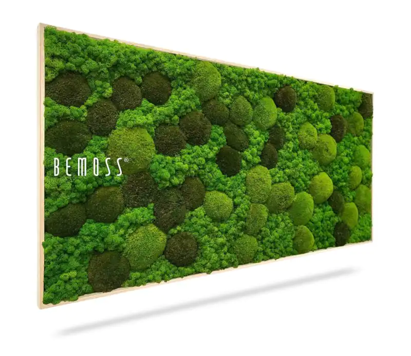 Cuadro de musgo BEMOSS® ORTHO MONETO