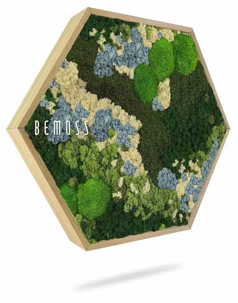 Cuadro de musgo Hexágono BEMOSS® ORTHO ICE