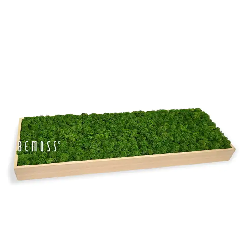 Decoración de mesa de musgo MUSGO DE ISLANDIA mono GREEN