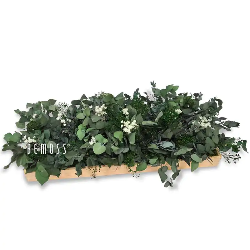 Decoración de mesa de musgo PLANTAS Pamonia