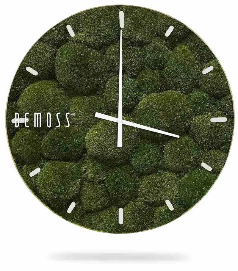 Reloj de musgo MUSGO DE COJÍN Natural con esfera