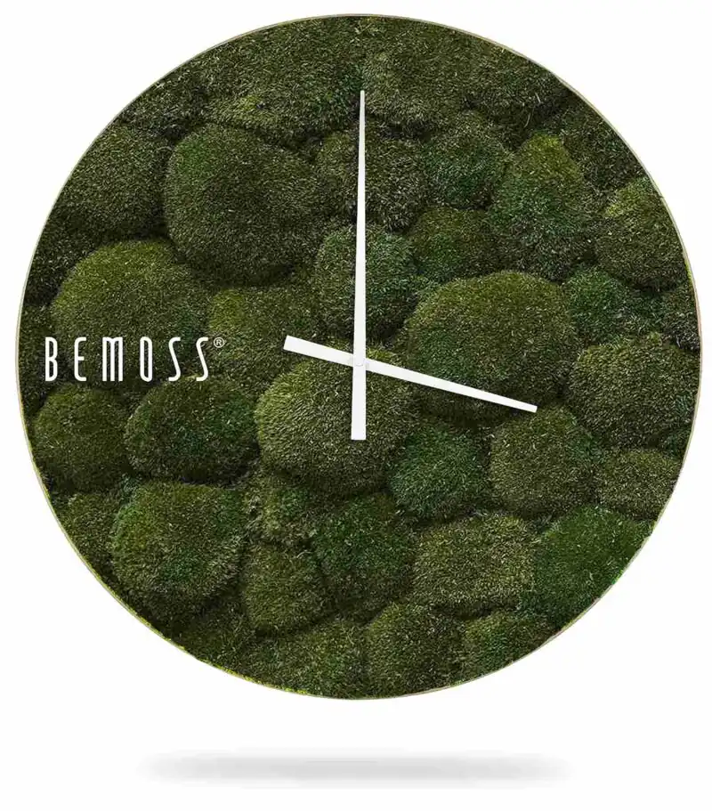 Reloj de musgo MUSGO DE COJÍN Natural