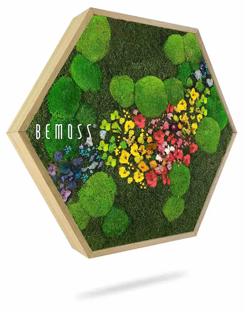 Cuadro de musgo Hexágono PLANTAS Acebo