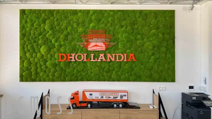 dhollandia-office-JPG-2.jpg
